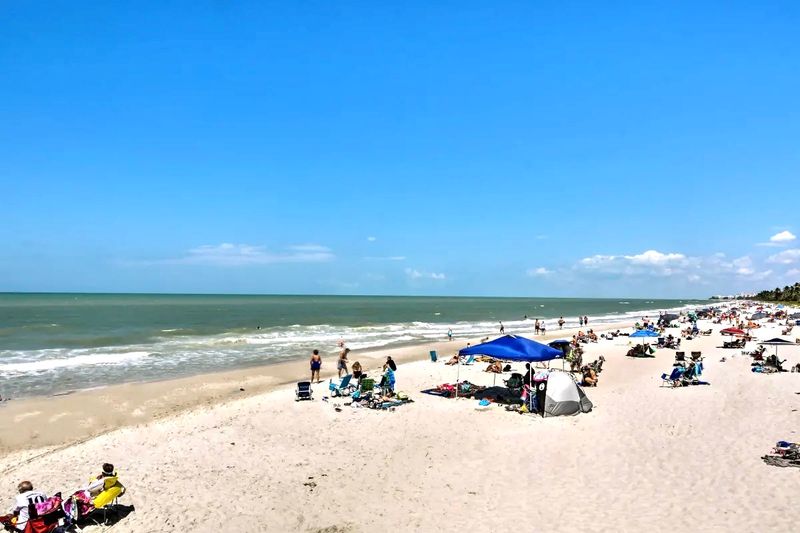 Perfectly-Located Studio at Naples Beach & Town — photo 14
