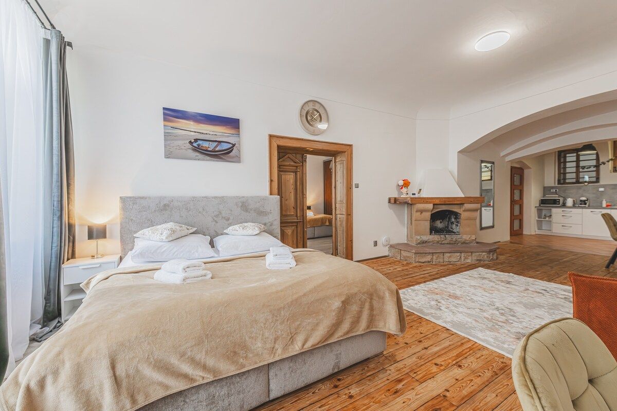 Superior 115m2 2BD on Main Square Hradec Kralove