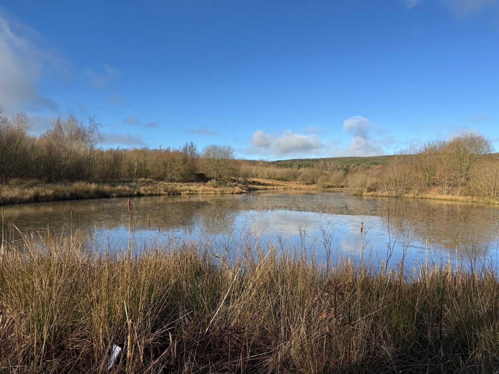 1739400169