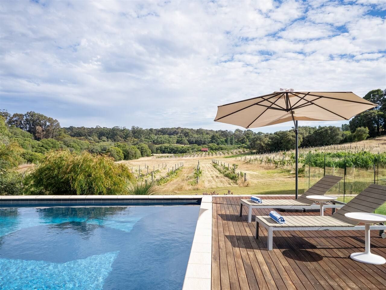 Sophies Vineyard