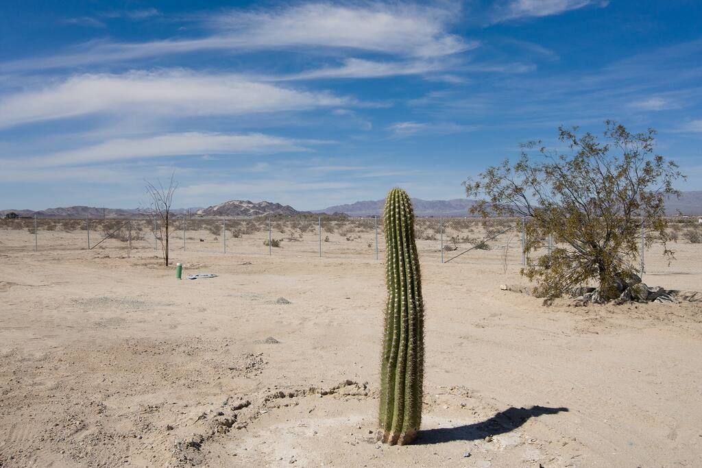 53