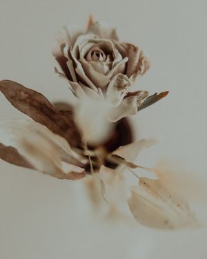 46