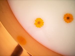 37
