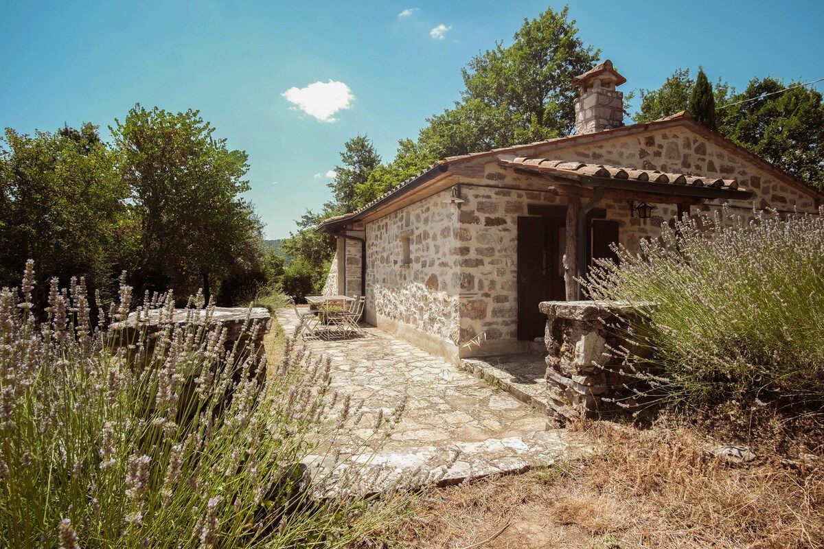 Private Cottage For 6 • Tuscan Olive Grove • Pool
