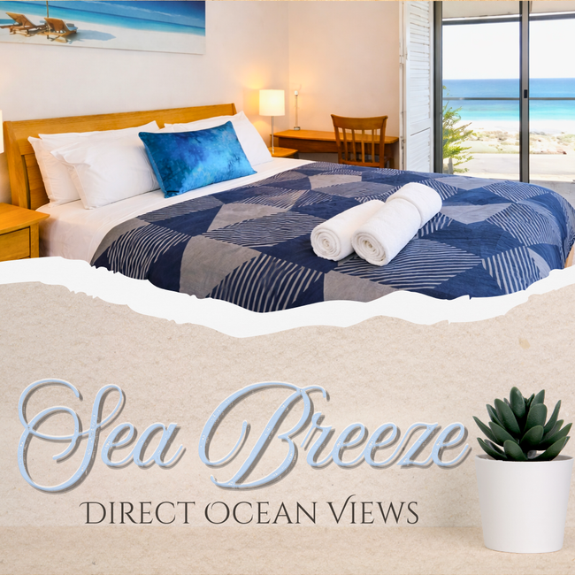 The Sea Breeze - Direct Ocean Views Top floor
