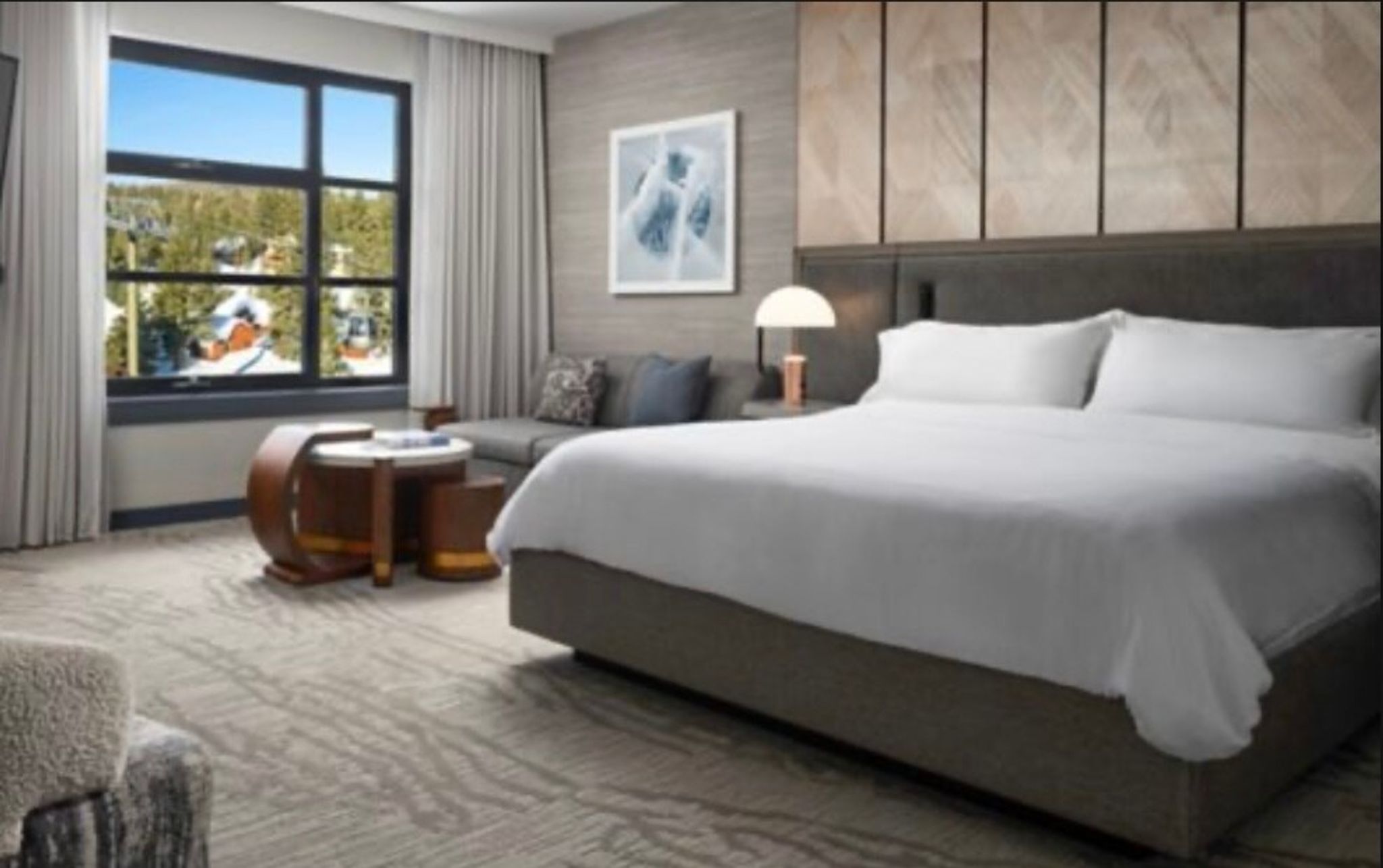 Pet Friendly Luxury Mammoth Westin Condo