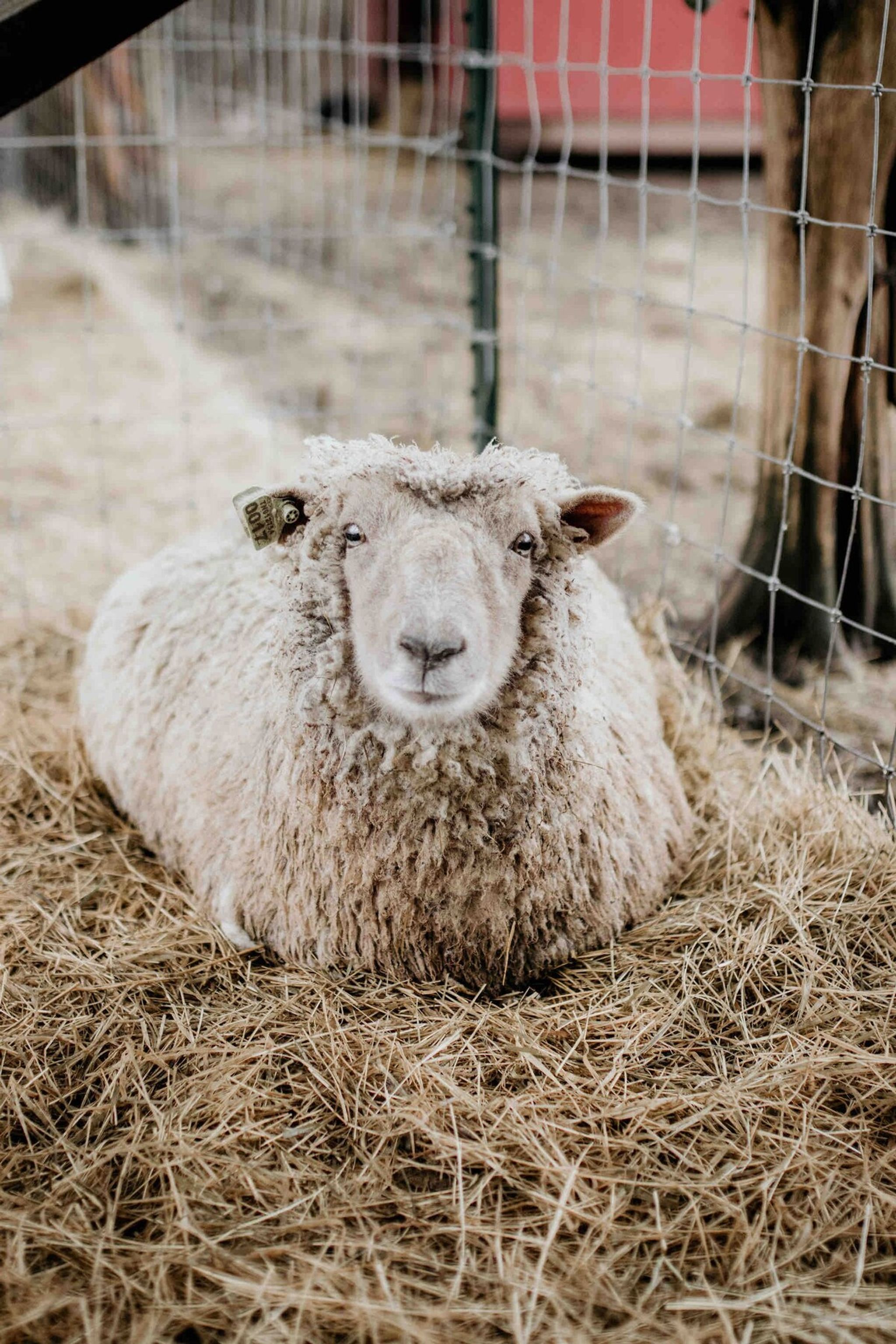 30