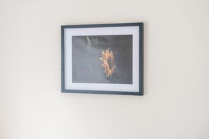 10801
