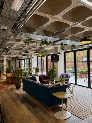 31