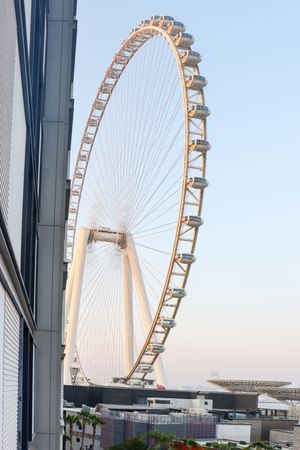 20