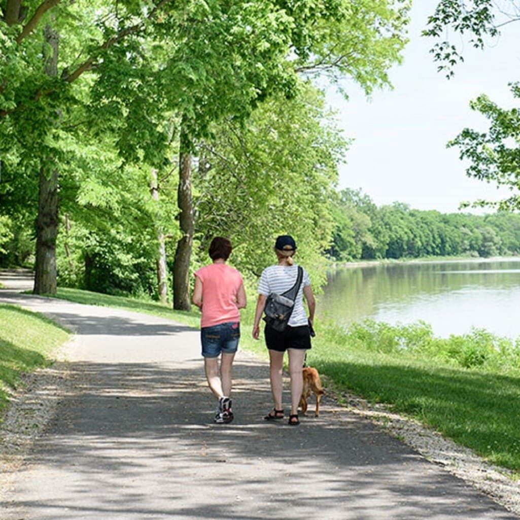 25