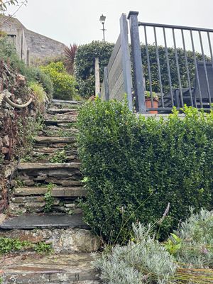 49