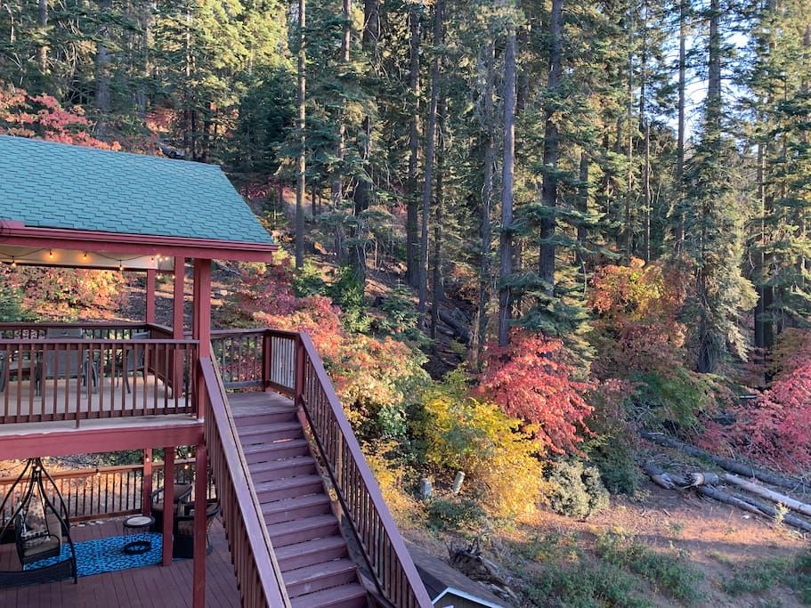 YoBee! Homey View Studio in the Heart of Yosemite. Park Entrance Reservation + Free Breakfast included ~U3