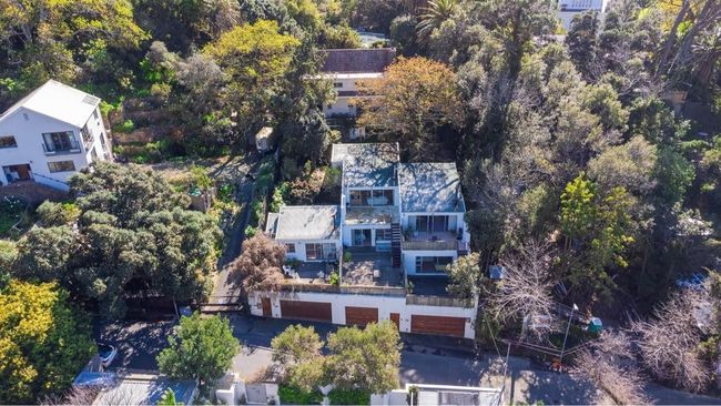 Lily of the Valley - Peace