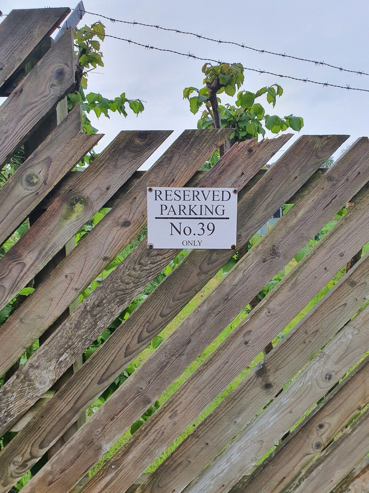 4801