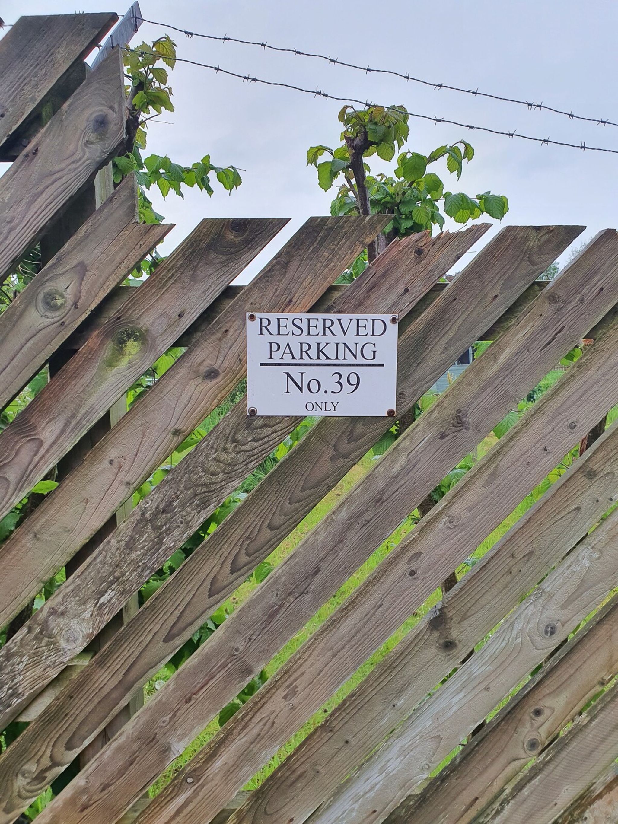 4801
