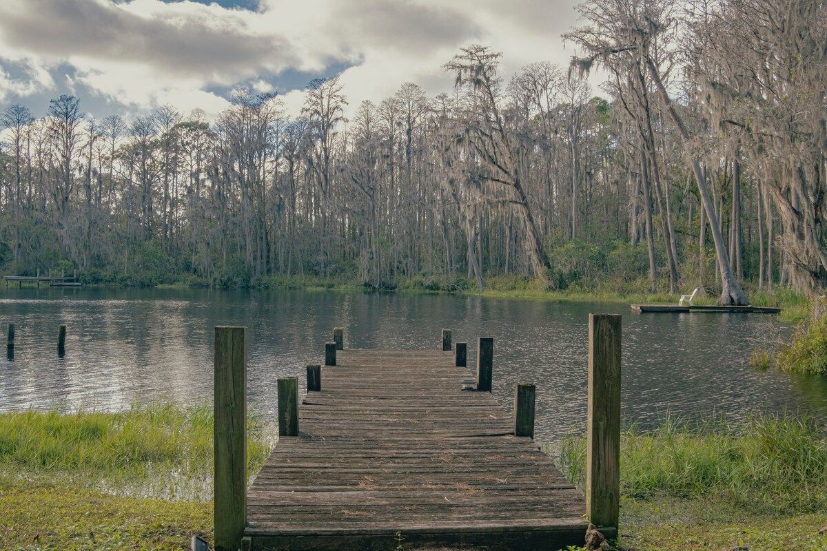 3bdr/2bth Lake Home (Tampa/LUTZ) close to all
