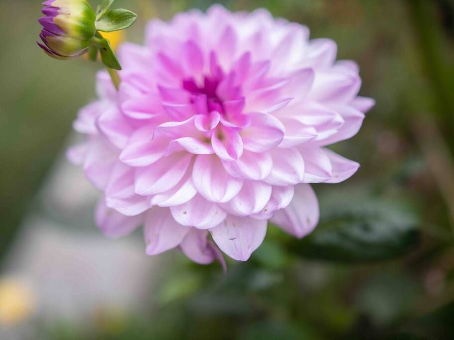 49
