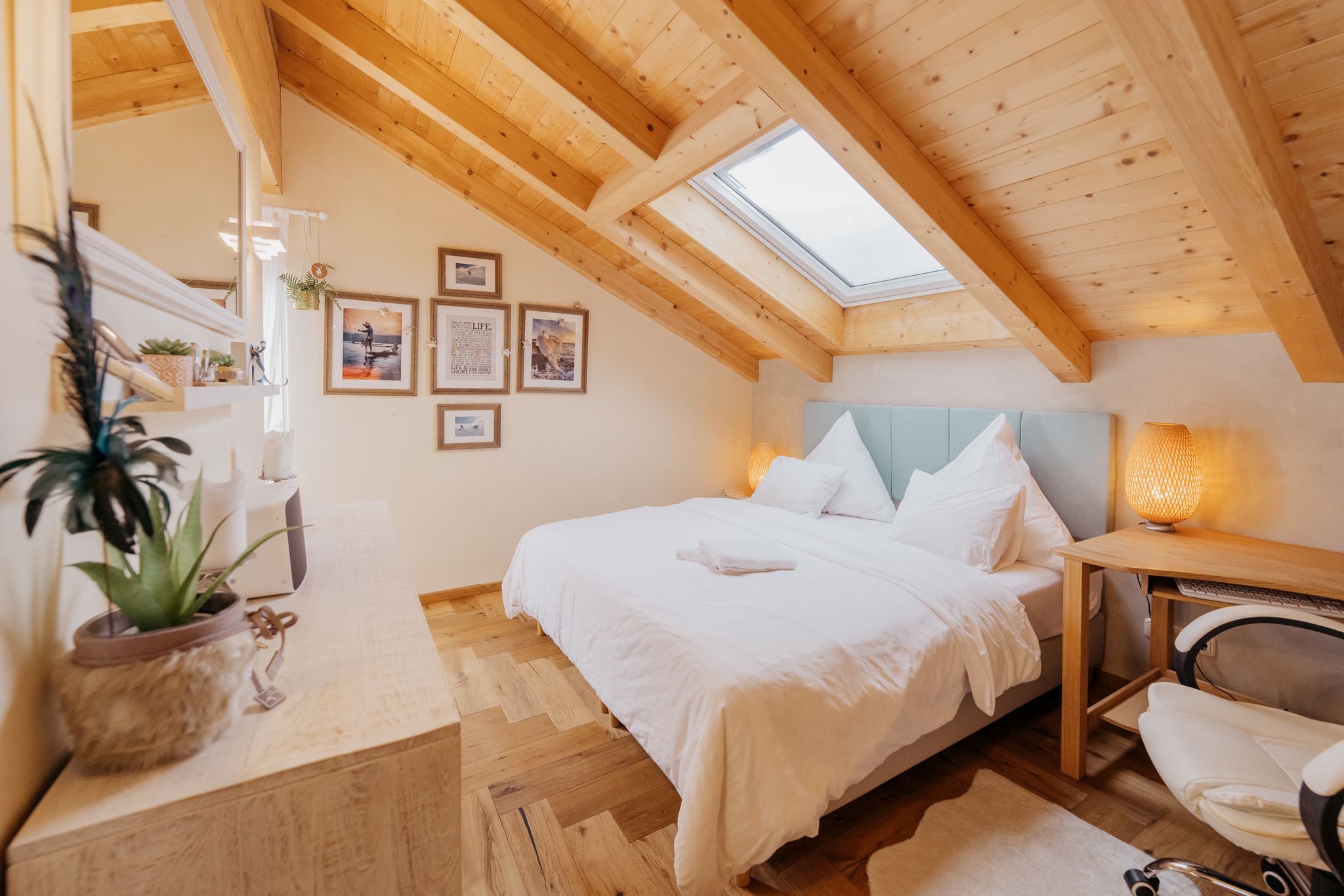 41
