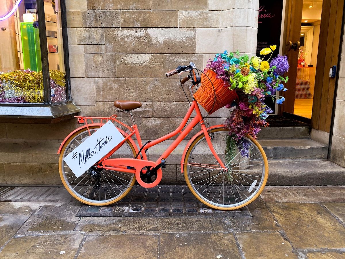 29