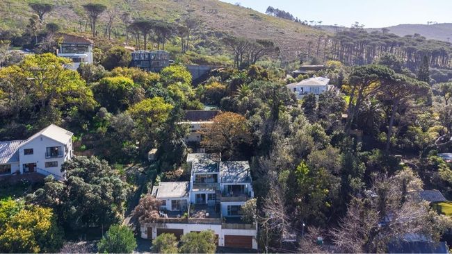 Lily of the Valley - Joy