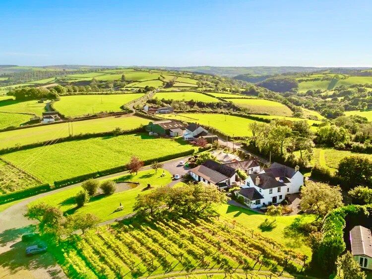 Exclusive Vineyard Estate for 18 Guests