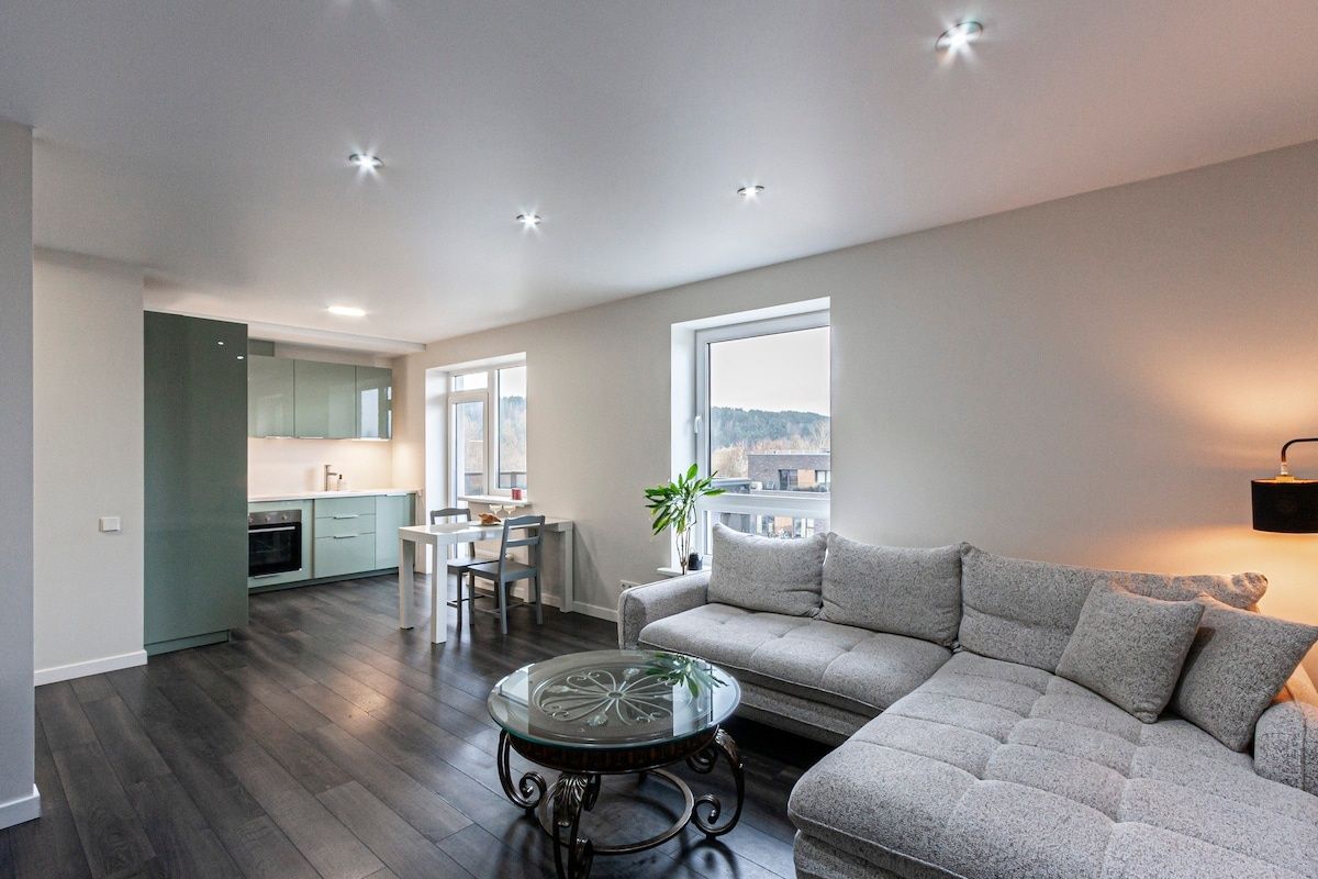Spacious and Modern Apartment/ Free Parking