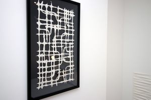 43