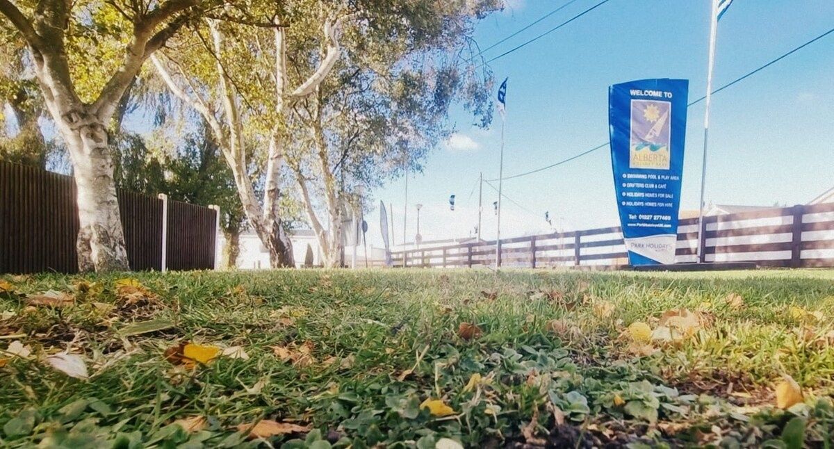 50