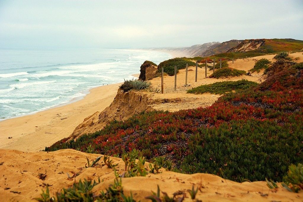 56