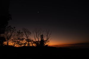 27