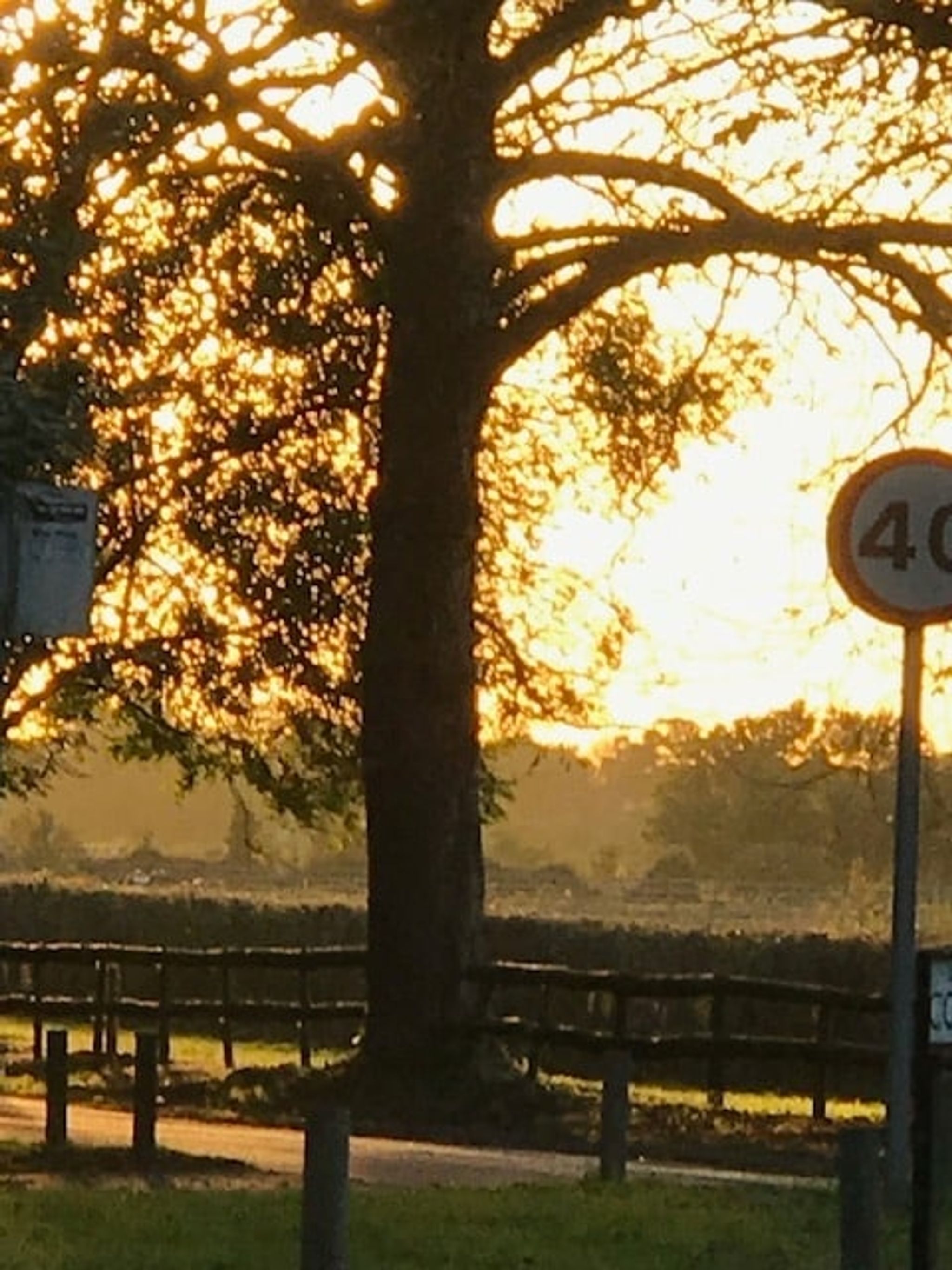 338303850