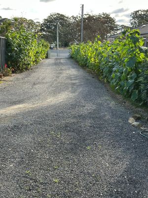 1751433050