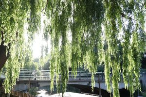 1732819870