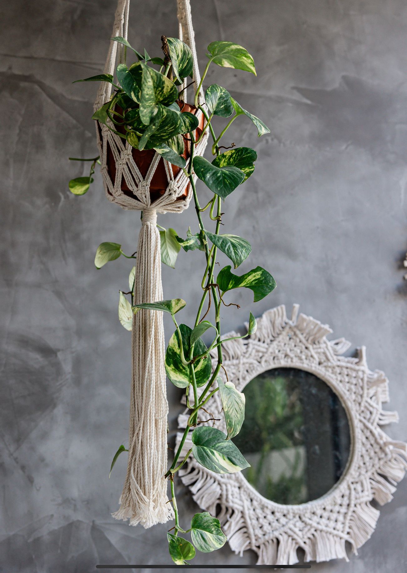 52