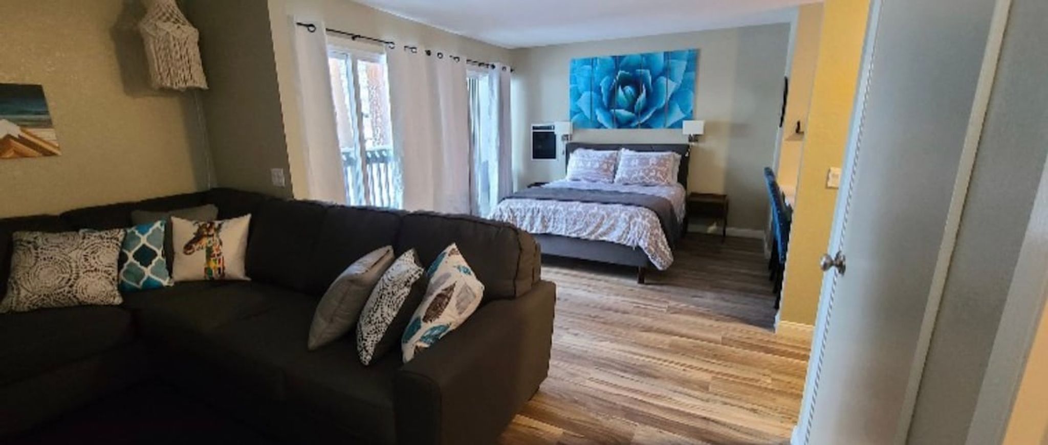 Modern Pet friendly Studio with bunks