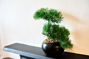25