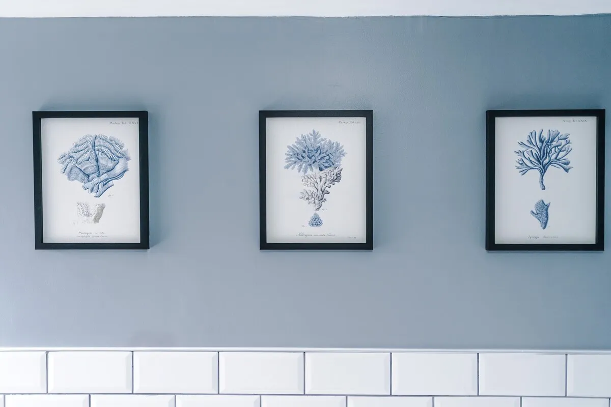 Botanical prints above the bath