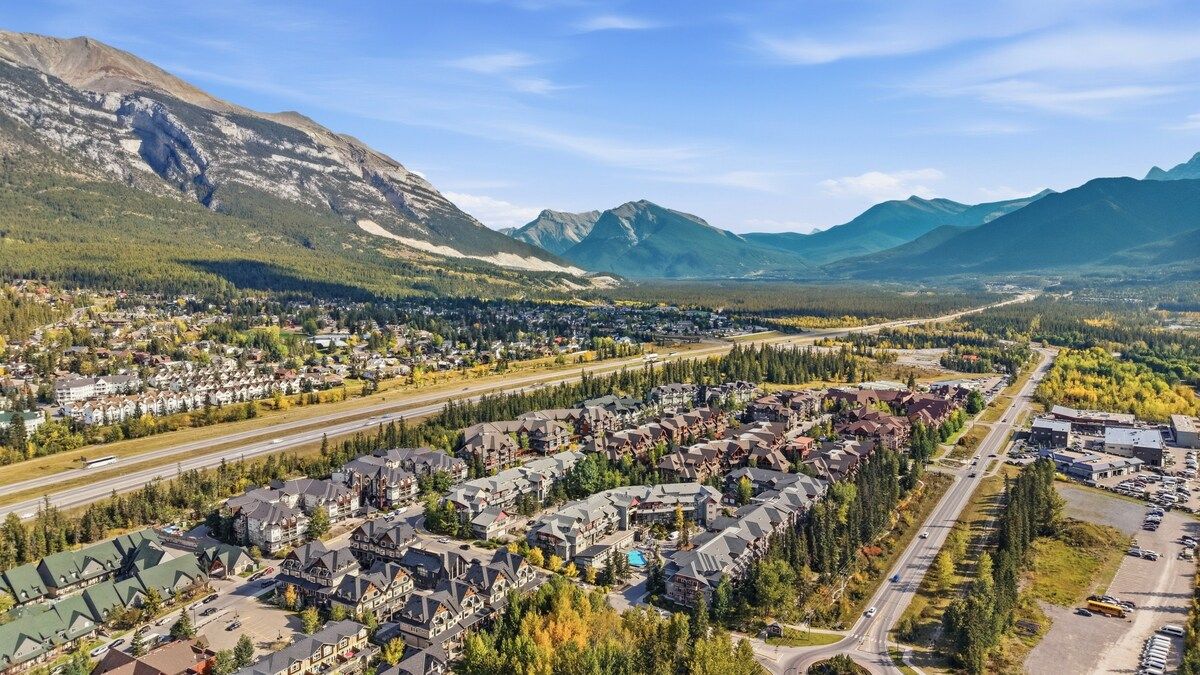 56
